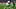 FBL-WC-2026-FRIENDLY-FRA-NIR