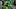 oregon ducks football uniform combination reveal nike zach grisham dan lanning portland state vikings autzen stadium jersey  