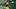 Green Bay Packers linebacker Edgerrin Cooper (56) greets fans before their game against the Bears on Dec. 7. Green Bay Packers linebacker Edgerrin Cooper (56) greets fans before their game against the Bears on Dec. 7.