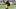 Pittsburgh Steelers running back Jaylen Warren fantasy football Pittsburgh Steelers running back Jaylen Warren fantasy football