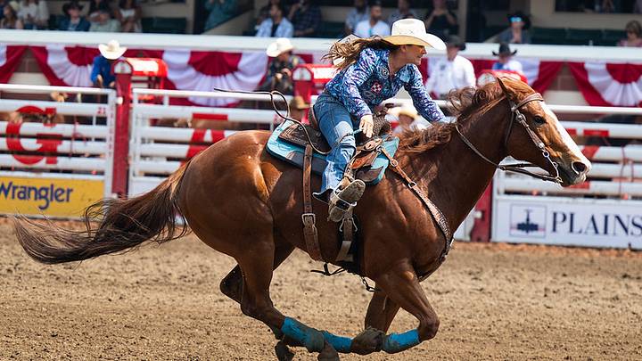 Barrel racer at the Calgary Stampede Barrel racer at the Calgary Stampede