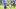 New England Patriots wide receiver Cameron Dorner New England Patriots wide receiver Cameron Dorner