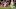 Gabriel Martinelli Gabriel Martinelli