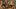 A 16th-century market scene by Pieter Aertsen. A 16th-century market scene by Pieter Aertsen.
