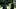 Zazie Beetz and Liev Schreiber in Nocturne Zazie Beetz and Liev Schreiber in Nocturne