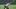 Philadelphia Phillies starting pitcher Cristopher Sanchez Philadelphia Phillies starting pitcher Cristopher Sanchez