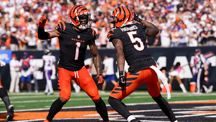 Baltimore Ravens v Cincinnati Bengals