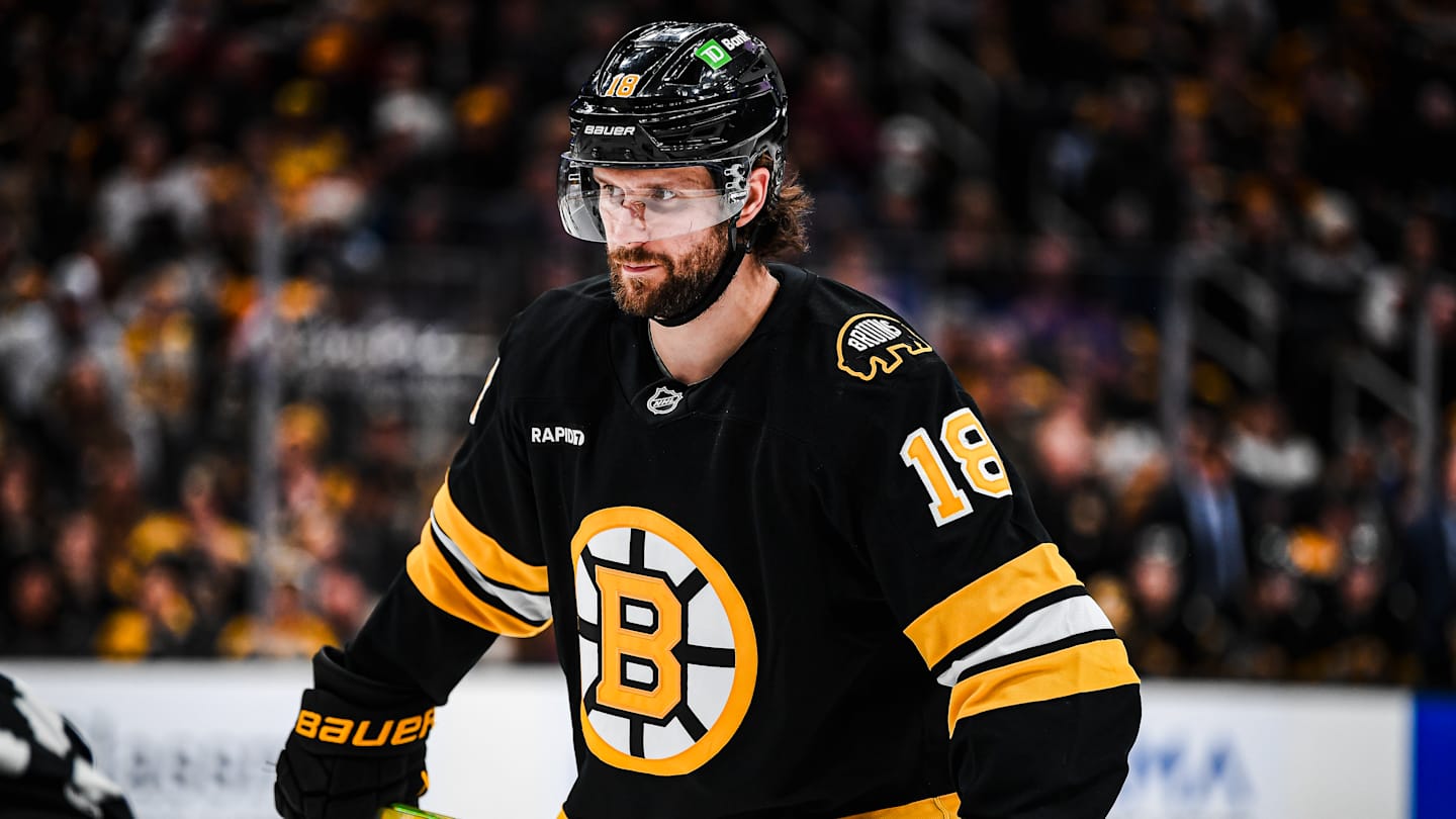 This Bruins forward is exactly what the Leafs are missing