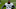 NY Jets NY Jets