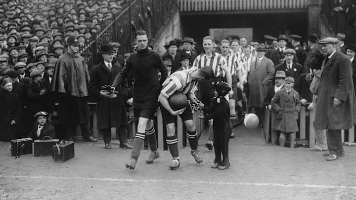 Southampton's Mascot