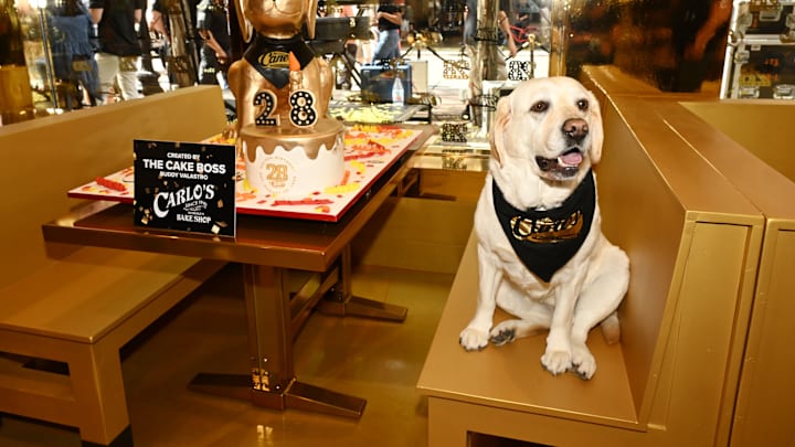BOSTON, MASSACHUSETTS - AUGUST 28: <> attends the celebration of Raising Cane's "Golden Birthday" with opening of new gold restaurant on August 28, 2024 in Boston, Massachusetts. (Photo by Dave Kotinsky/Getty Images for Raising Cane's)