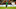 Nigeria v Cameroon - TotalEnergies CAF Africa Cup of Nations Nigeria v Cameroon - TotalEnergies CAF Africa Cup of Nations
