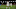 Trent Alexander-Arnold