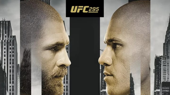 UFC 295 poster