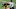 NY Jets NY Jets