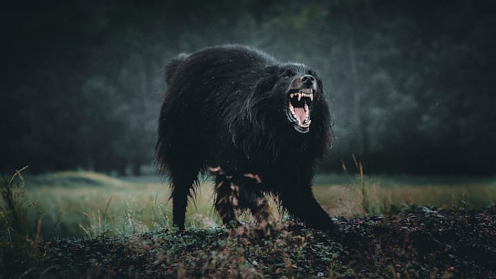 Turning into a werewolf was a popular pastime in 16th-century France.