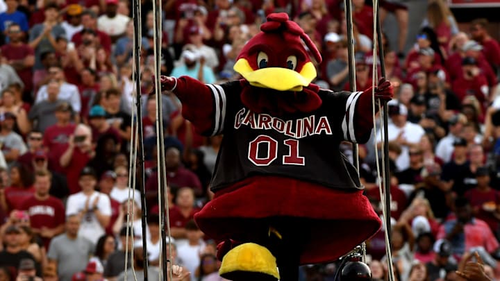 South Carolina football mascot Cocky