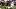 Titans rookie wide receiver Carnell Tate, Fantasy Football 