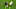 Joane Gadou, Rodrygo Joane Gadou, Rodrygo
