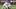 Southern Miss Football Southern Miss Football
