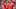 Robert Lewandowski, Thomas Muller  