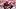College GameDay Reveals Bold Projections for College Football's Week 3 Games College GameDay Reveals Bold Projections for College Football's Week 3 Games