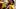 Southern Miss Football, DuBard, Seymour Southern Miss Football, DuBard, Seymour