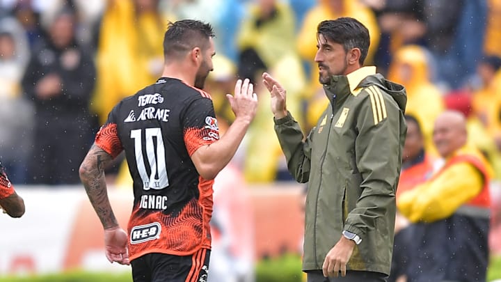 Tigres UANL v Puebla - Torneo Apertura 2024 Liga MX