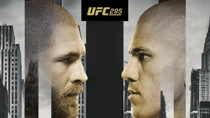 UFC 295 poster