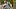 Survivor 51 episode 2 Survivor 51 episode 2