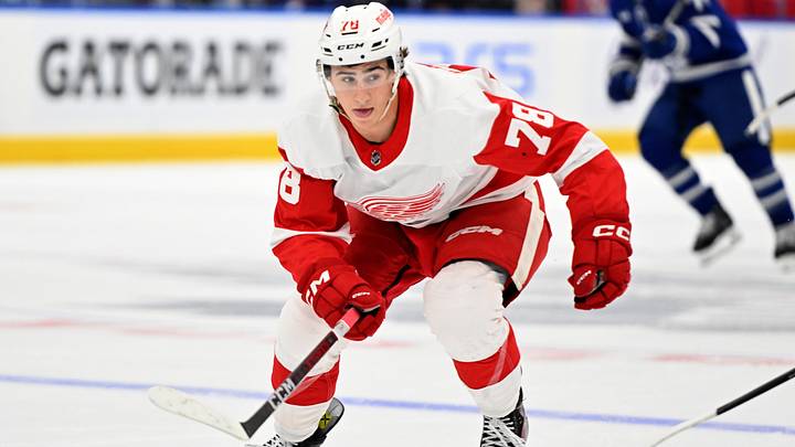 Detroit Red Wings forward Amadeus Lombardi (78): Dan Hamilton-Imagn Images