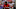 Fred, Manchester United Fred, Manchester United