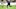 C.J. Sapong, Harrison Afful C.J. Sapong, Harrison Afful