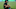 Raul Jimenez Raul Jimenez