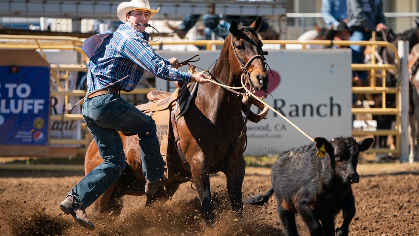 Steer Roper Taylor Santos Looks To Build Momentum After Most Recent Win