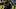 Pittsburgh Steelers tight end Darnell Washington Pittsburgh Steelers tight end Darnell Washington