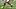 Oklahoma quarterback John Mateer scrambling