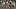 UNTAMED_102_Unit_06133RC