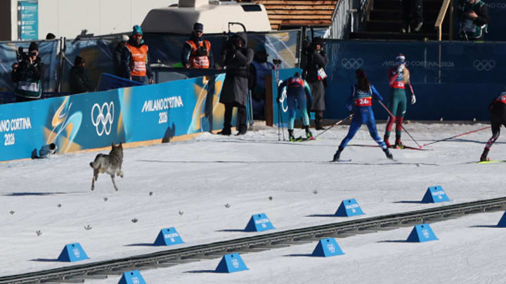 A dog joins a ski race at the 2026 Winter Olympics.