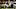 Chicago Bears, Jaquelin Roy Chicago Bears, Jaquelin Roy