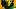 Oregon Ducks defensive back Zach Grisham debuts the Nike Uniform set to be worn against the Portland State Vikings on Sep. 18 Oregon Ducks defensive back Zach Grisham debuts the Nike Uniform set to be worn against the Portland State Vikings on Sep. 18