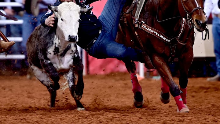 Steer wrestling at the Fort Worth Stock Show and Rodeo Steer wrestling at the Fort Worth Stock Show and Rodeo