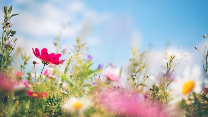 Meteorological summer and astronomical summer are not the same.