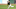 Will Wilson, SF Giants Will Wilson, SF Giants
