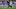 FBL-BEL-PROLEAGUE-ANDERLECHT-STVV FBL-BEL-PROLEAGUE-ANDERLECHT-STVV