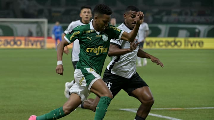 Palmeiras e Botafogo se enfrentam pela quarta vez em 2024