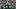 Philadelphia Eagles defensive tackles Jordan Davis and Jalen Carter. Philadelphia Eagles defensive tackles Jordan Davis and Jalen Carter.