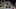 Vancouver Whitecaps Vancouver Whitecaps