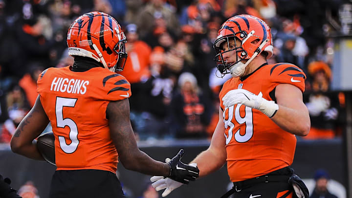 Dec 1, 2024; Cincinnati, Ohio, USA; Cincinnati Bengals wide receiver Tee Higgins (5) shakes hands with tight end Drew Sample (89) after scoring a touchdown against the Pittsburgh Steelers in the second half at Paycor Stadium.