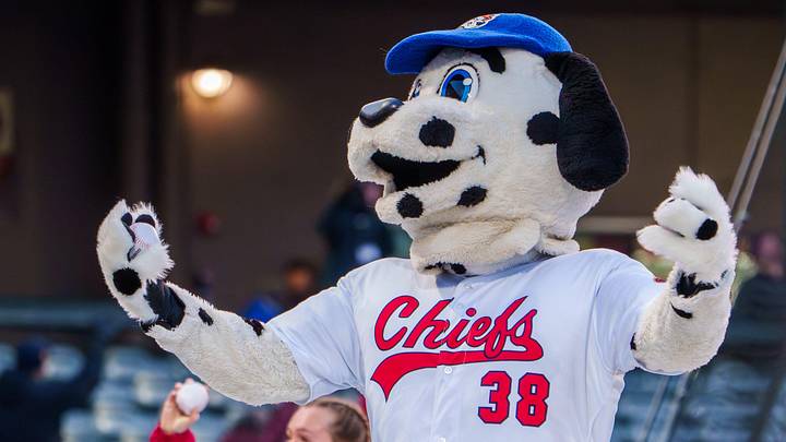 Peoria Chiefs mascot Homer tosses balls to fans as the Chiefs battle South Bend on Tuesday, April, 7, 2026 at Dozer Park in Peoria. The Chiefs routed the Cubs 10-1. Peoria Chiefs mascot Homer tosses balls to fans as the Chiefs battle South Bend on Tuesday, April, 7, 2026 at Dozer Park in Peoria. The Chiefs routed the Cubs 10-1.